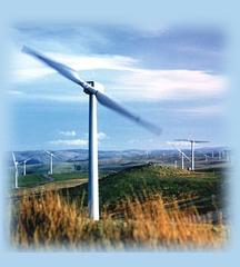 (Wind turbines picture)